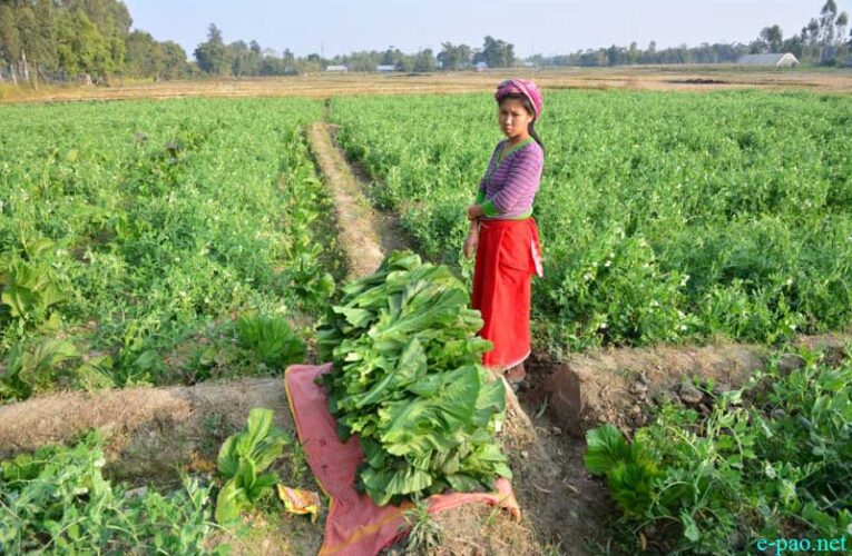 Manipur farmers visit Tripura to gain horticulture knowledge