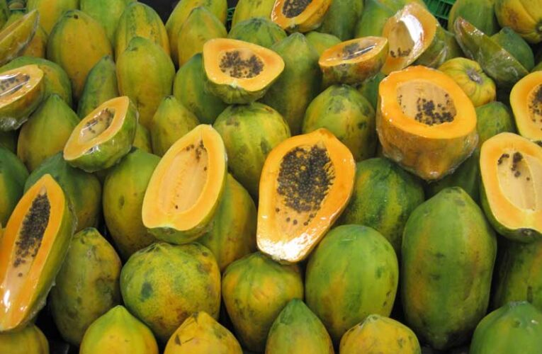 Papaya yield remains low in Bihar due to virus disease