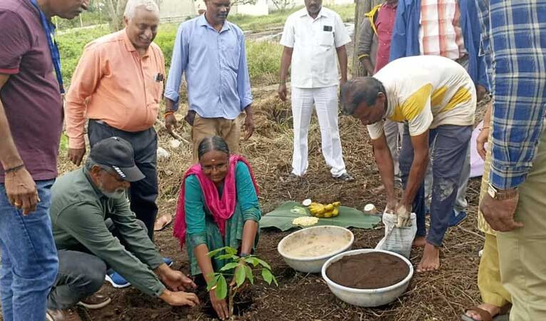 Rubber plantation takes place extensively in TN’s Yercaud