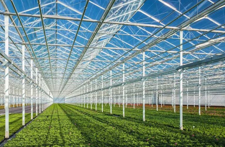 Govt launches shade net house scheme to help horticulture farmers