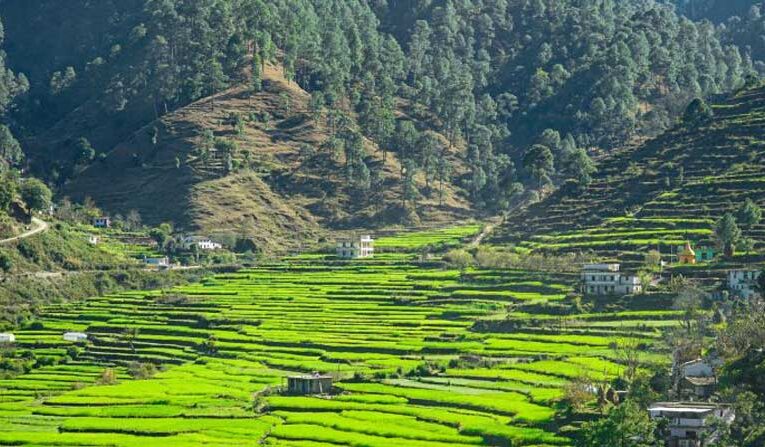 Horticulture farmers in Uttarakhand face losses amid climate change