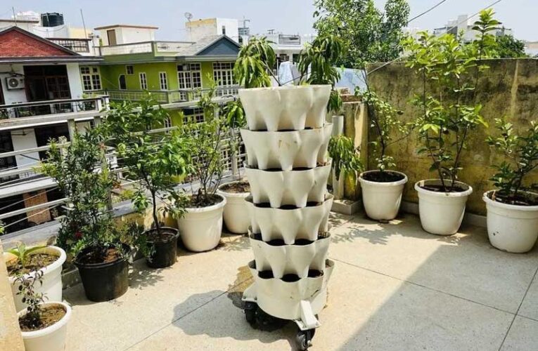 Vertical Gardening: Revolutionizing Urban Spaces