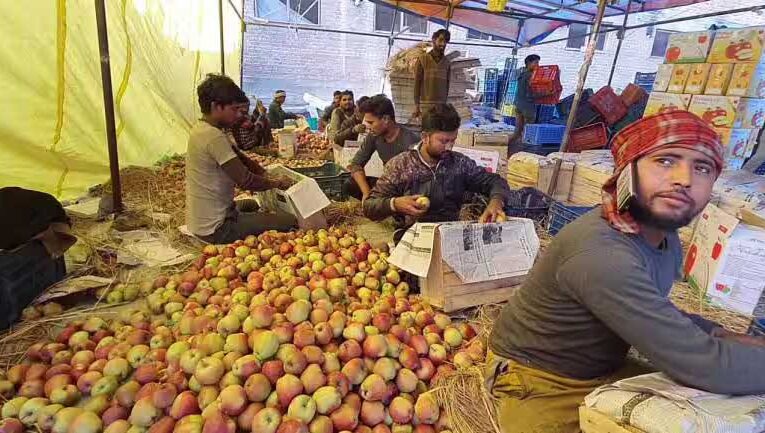 Uttarakhand horti farmers face losses due to climate change