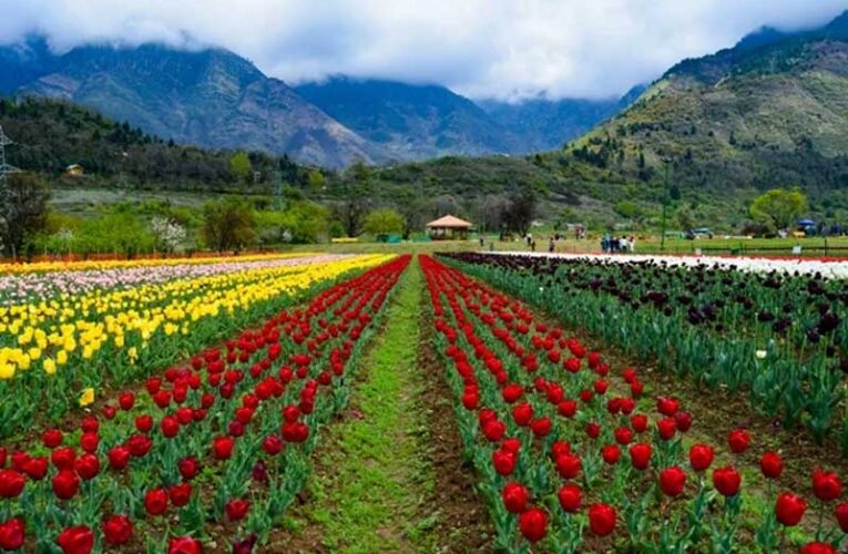 Kashmir gears up to welcome tourists with Hi-Tech Nursery