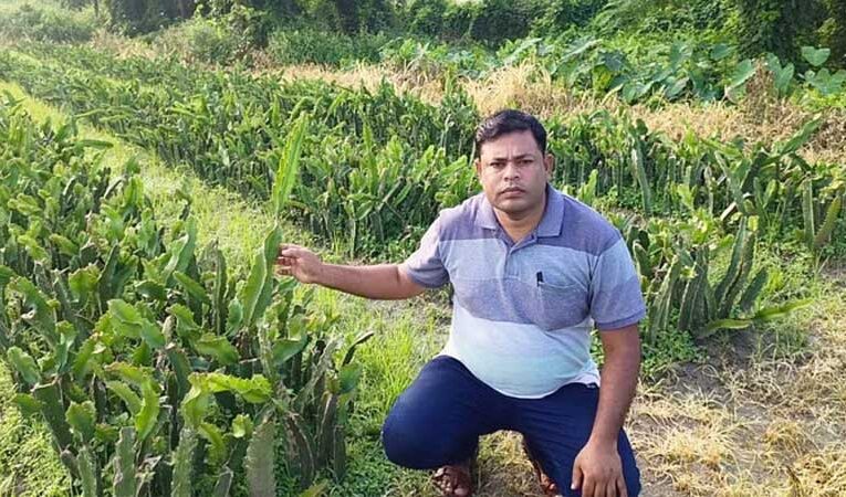 Assam farmer earns Rs 1 crore annually through dragon fruit farming