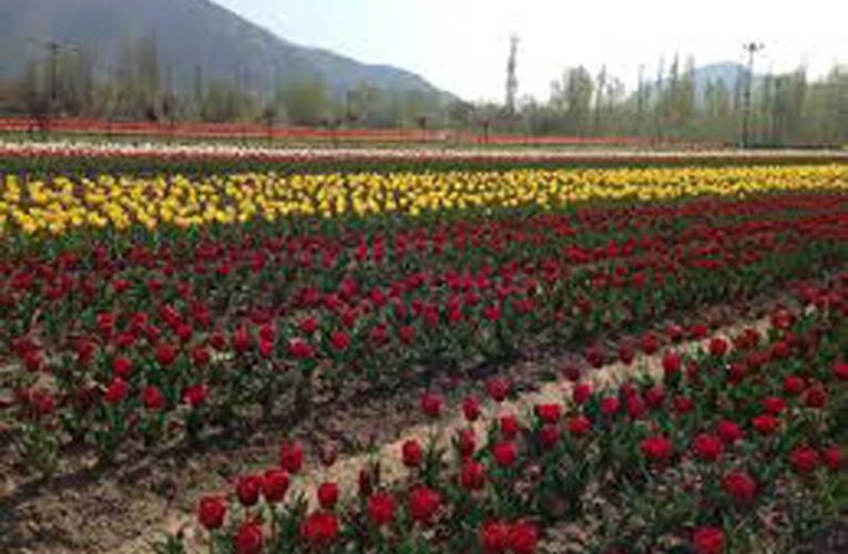 Floriculture to enhance employment opportunities in J&K: CS