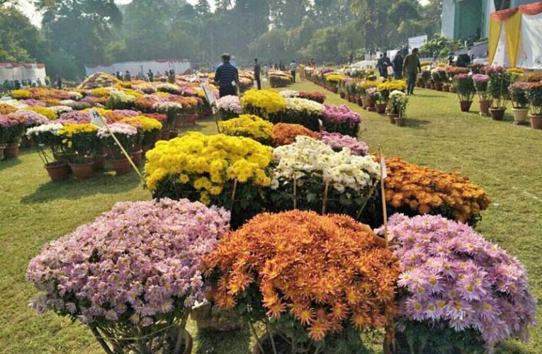 NBRI eases rules for contestants in its annual flower show