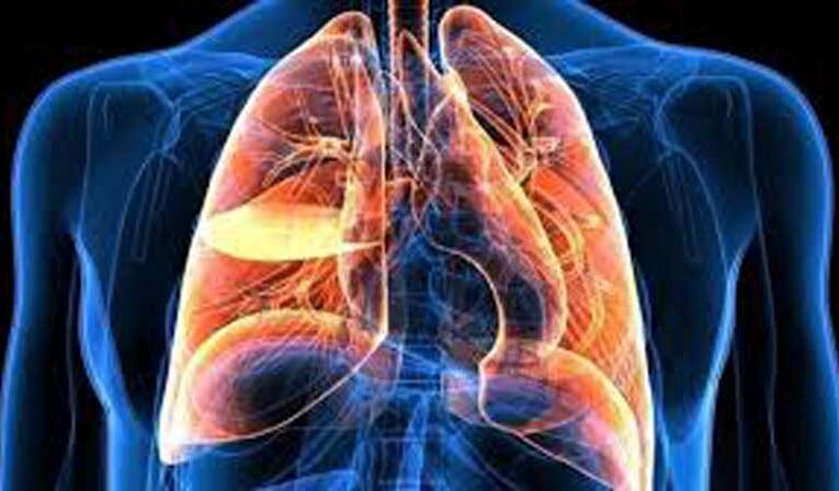 Lungs under threat amid poor air quality