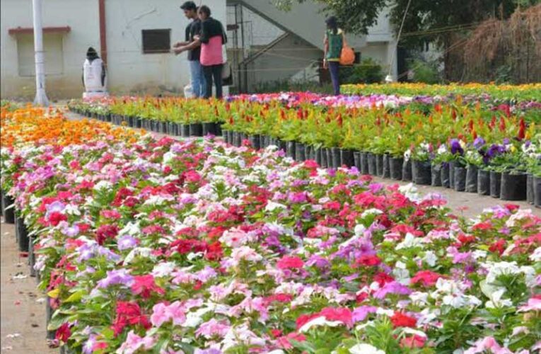 Nagpur’s Garden Club to host annual Red Flower Show on Nov 15