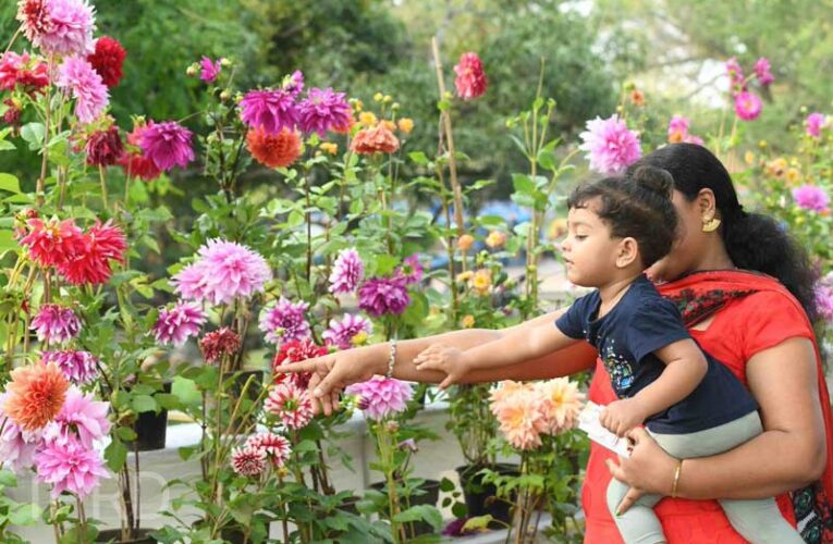 Thiruvananthapuram gears up for ‘Vasantholsavam’ flower festival