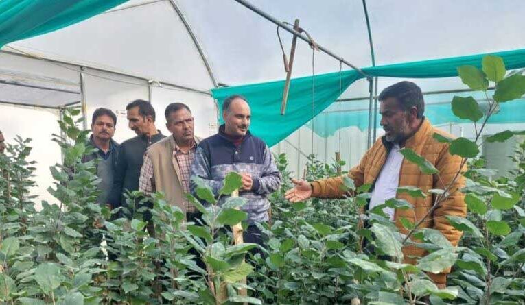 Himachal’s Horticulture Sec reviews Dhadhwahan Shiva Cluster Project