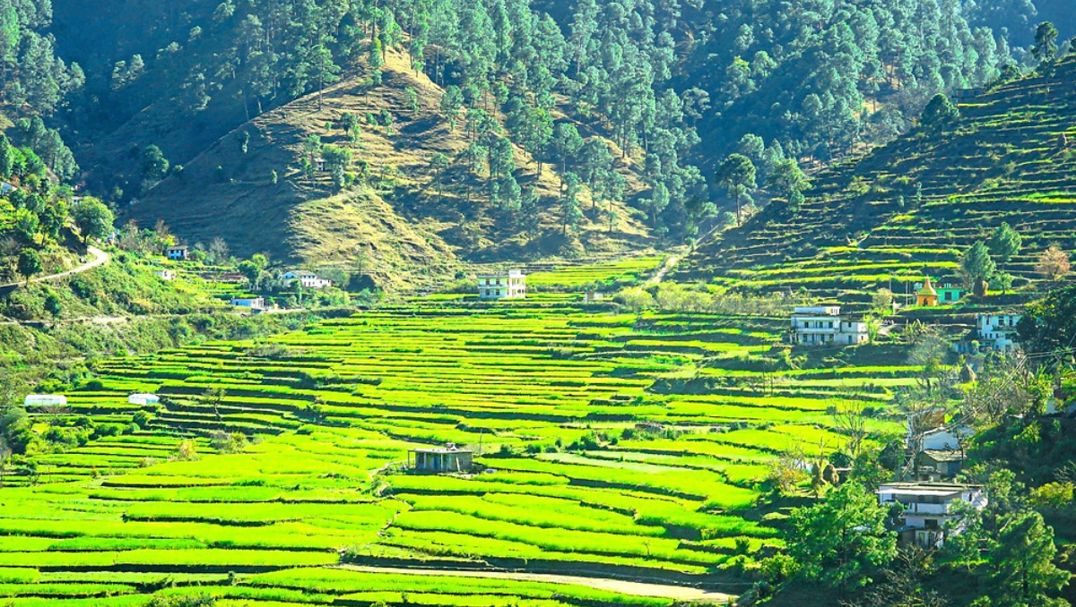 Uttarakhand-Farming