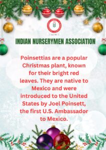 Christmas Horticulture Facts