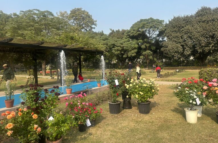 NDMC Inaugurates Two-day Winter Rose Show in collaboration with The Indian Rose Society