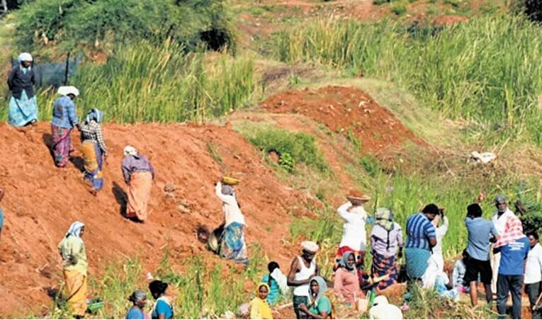 Small farmers’ lives transform through MGNREGA in Kadapa