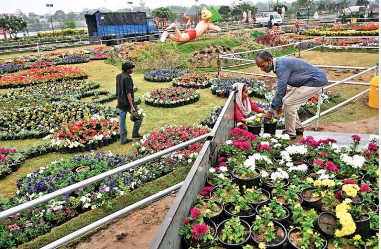 AMC introduces VIP zone for Rs 500 in upcoming flower show