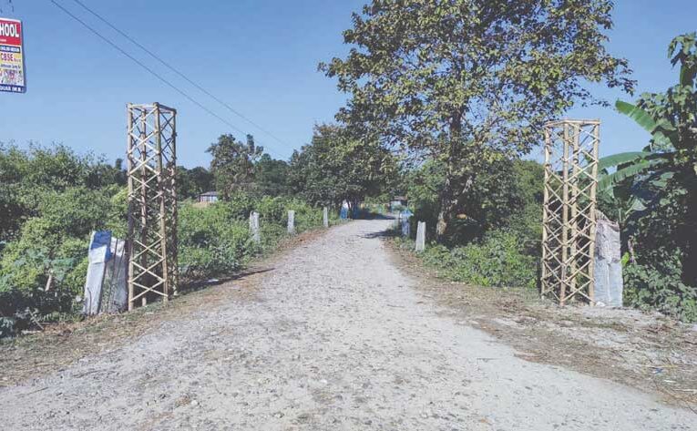 Barobisha village aims to boost tourism with flower farming