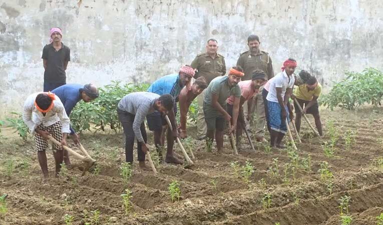 बेउर जेल में कैदियों ने फूलों की  खेती से बदली अपनी ज़िंदगी