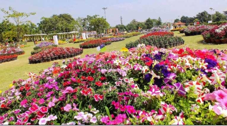 Greater Noida gears up to host flower festival