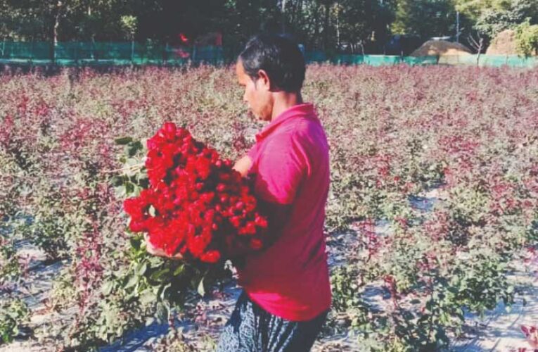 Dulal Sarkar leads floriculture revolution in Cooch Behar