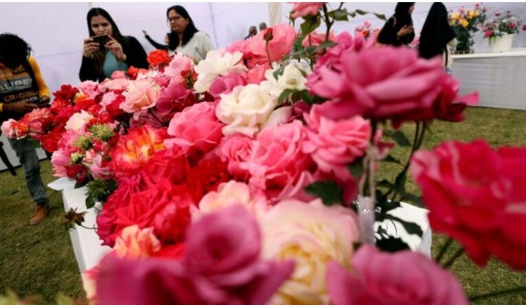 NDMC hosts stunning All India Winter Rose Show