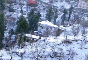 shimla-new