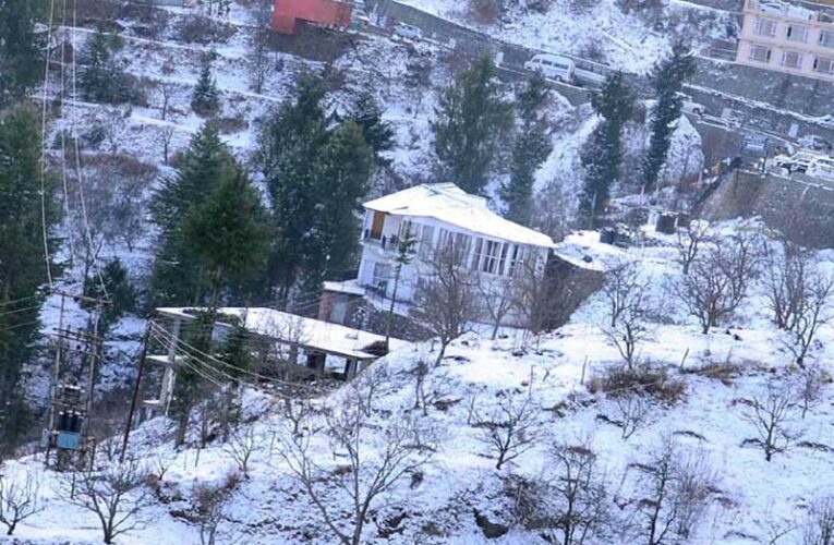 Himachal’s recent snowfall brings relief to horticulture farmers