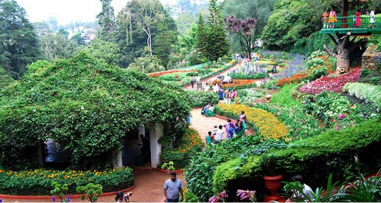 Karnataka to host inaugural Ooty ‘Winter Flower Festival’ 