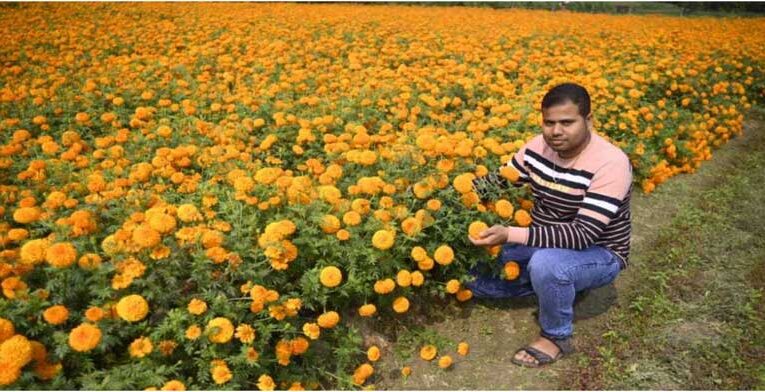 Arup Ghosh turns marigold farming pioneer from flower vendor