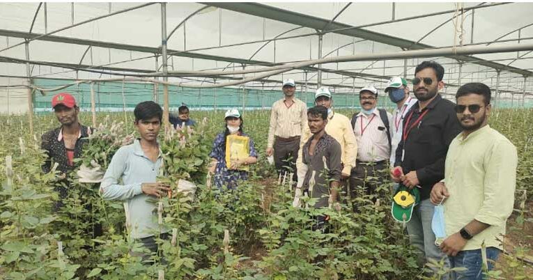 Horticulture research center to be set up in Bikaner 