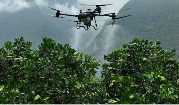 Drone technology: A revolution in mango farming in India