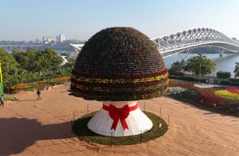 Ahmedabad Flower Show sets world record for largest bouquet