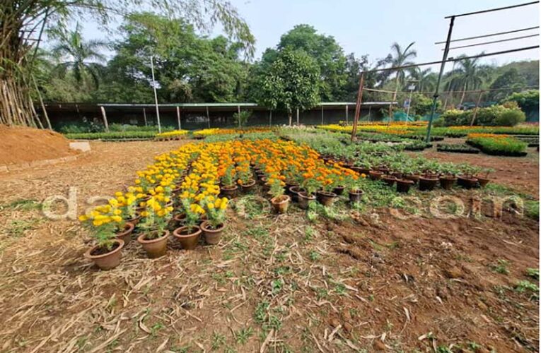 Mangaluru gears up to organize grand horticulture show