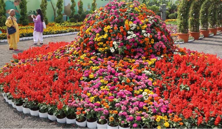 Aurangabad to host two-day annual flower show from February 8