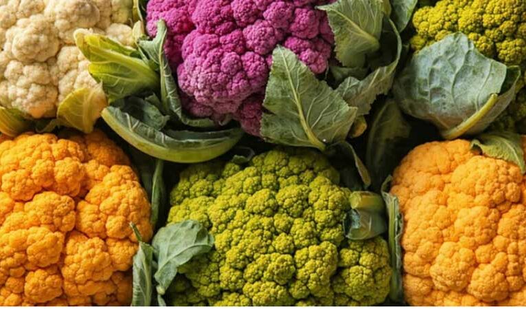 Colourful cauliflower: A new innovation from Bihar’s farmers