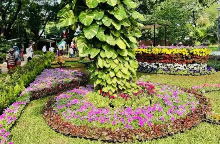 Mandya to host five-day flower show from January 24