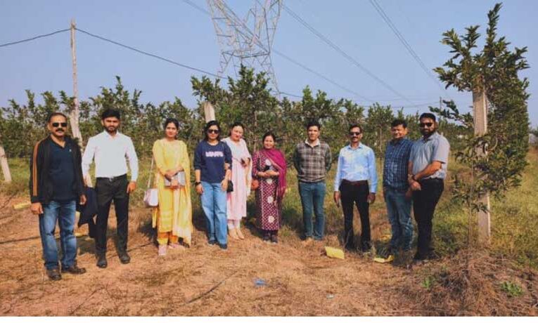 Mandi horticulture officers attend training in Raipur