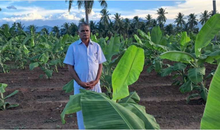 Tamil Nadu farmer fetches huge income through precision farming