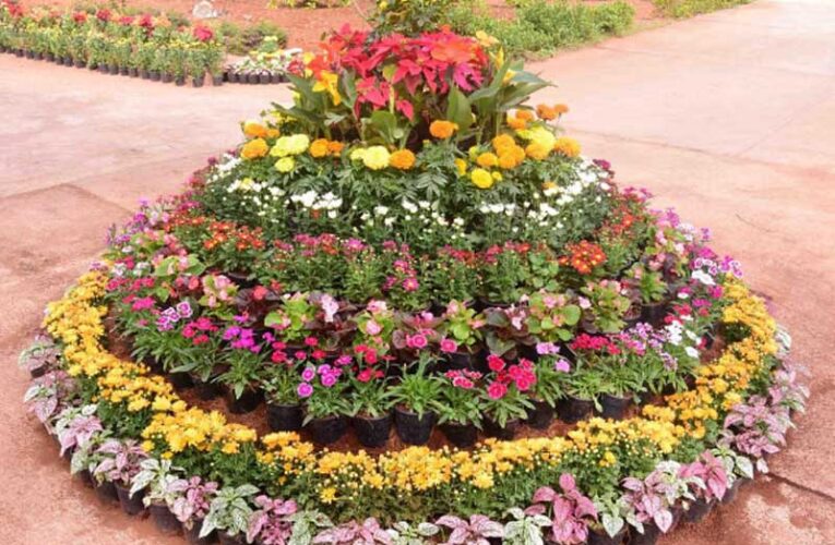 Udupi Horticulture Department gears up to host flower and fruit exhibition