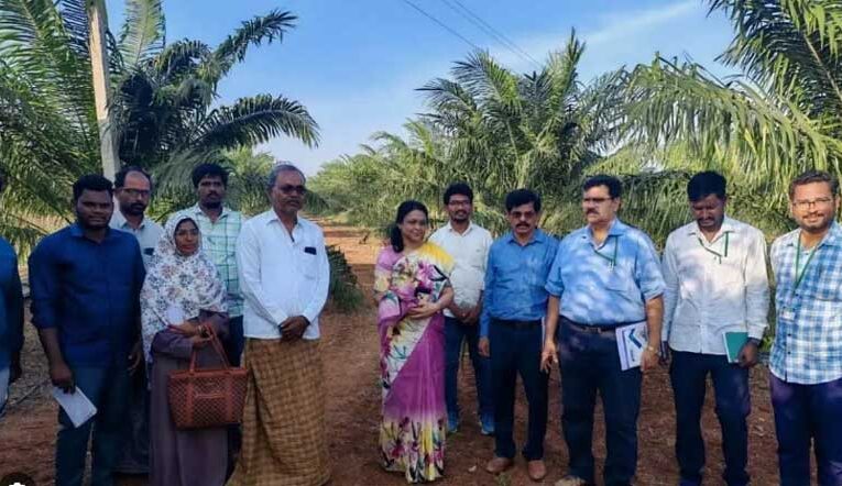  Sheikh Yasmin inspects oil palm nursery plantation work