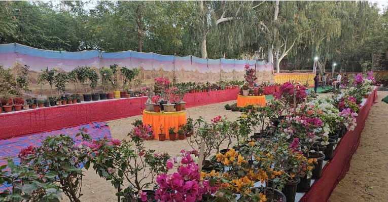 Plant & flower expo brings greenery to Barmer’s desert