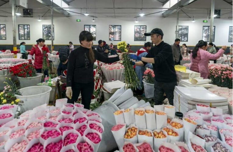 Dounan flower market blooms as Asia’s floral hub