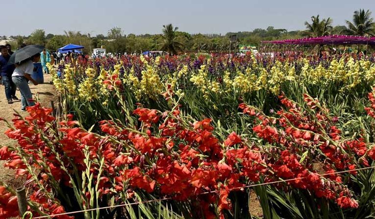 National Horticulture Fair 2025 to be held in Bengaluru