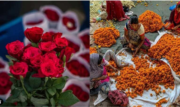 Flower markets bloom in Delhi amid ‘Valentine Day’ celebration