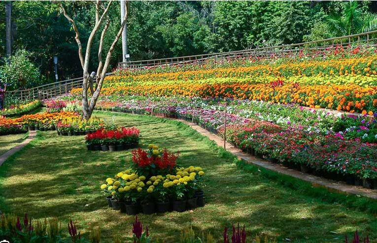 Vibrant annual farm fest kicks off in Puducherry Botanical Garden