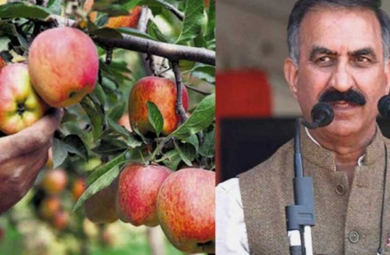 Kinnaur farmers receive apple and other fruit plants at subsidized rates