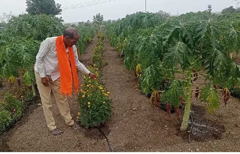 Manohar Manav mixes farming with gardening, fetching huge incomes