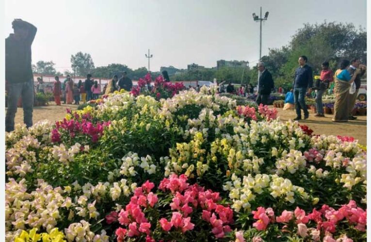 Greater Noida to host vibrant flower festival from Feb 28