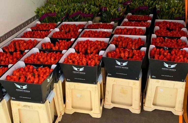 Floriculture industry moves to green packaging