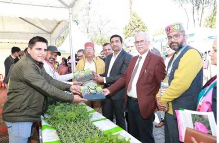 Tulip festival & national symposium begins in Palampur